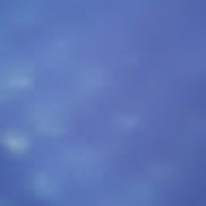 Meet your Posher, Steve